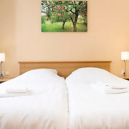 Enjoy A 6-person Bungalow, Cleaning Included Holiday home Zevenhuizen (Zuidplas)