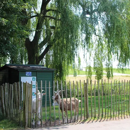 Holiday home Enjoy A 6-person Bungalow, Cleaning Included Zevenhuizen (Zuidplas)